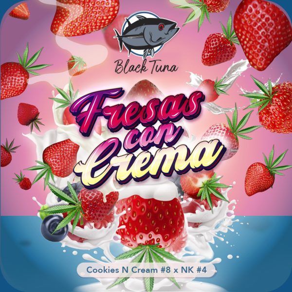 Fresas con Crema Black Tuna