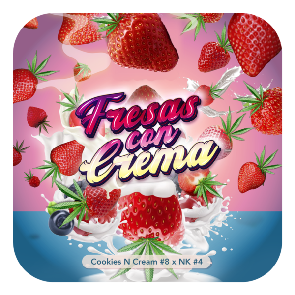 Fresas con Crema