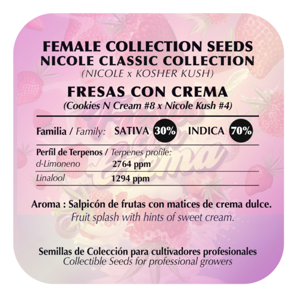 Fresas con Crema - Image 2