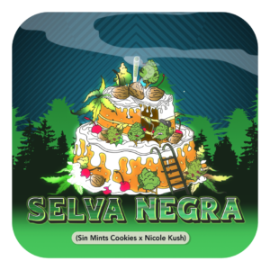 Selva Negra
