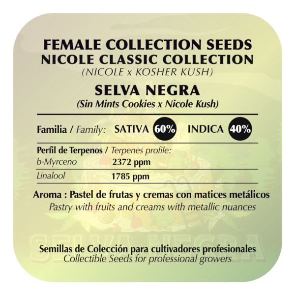Selva Negra - Image 2
