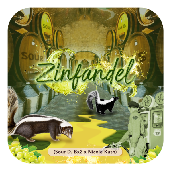 Zinfandel