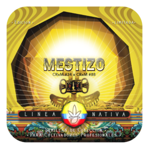Mestizo