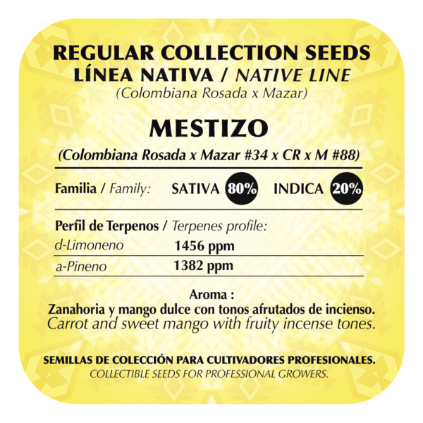 Mestizo - Image 2