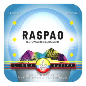 Raspao