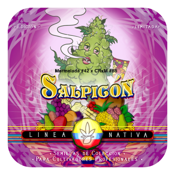 Salpicón