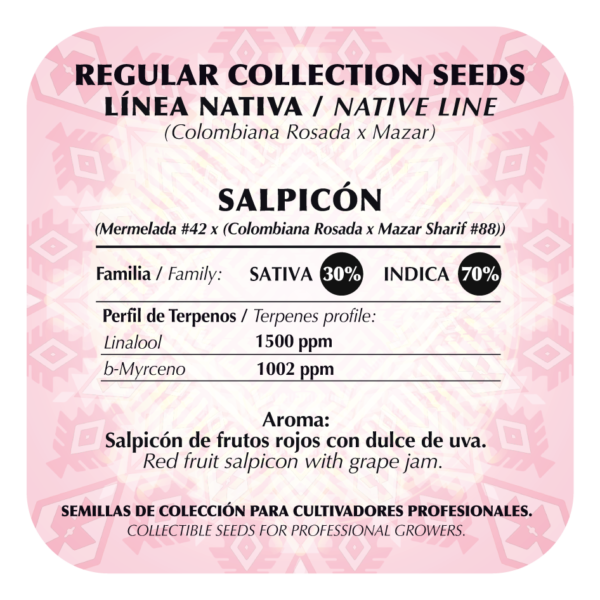 Salpicón - Image 2