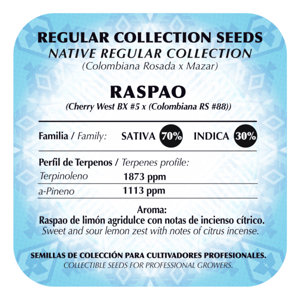 Raspao - Image 2