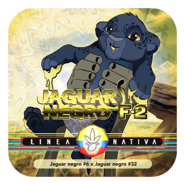 Jaguar Negro F2