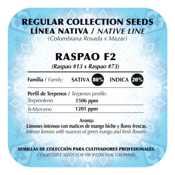 Raspao F2 - Image 2