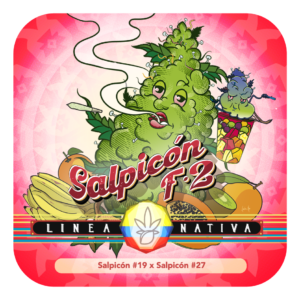 Salpicón F2