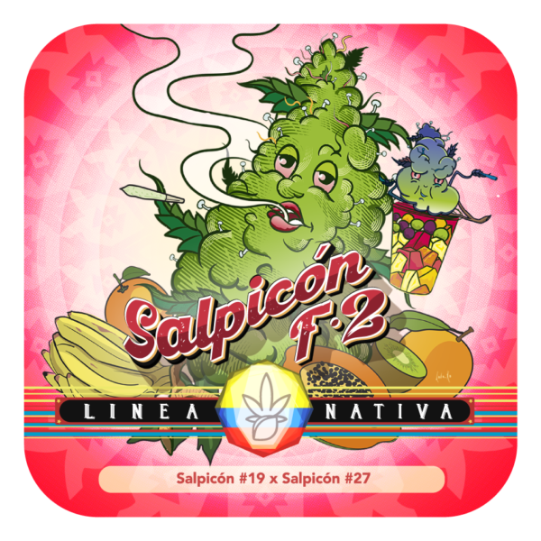 Salpicón F2