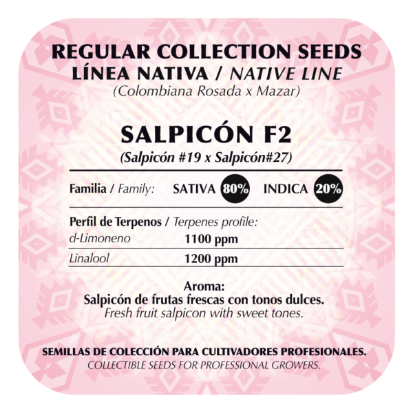 Salpicón F2 - Image 2