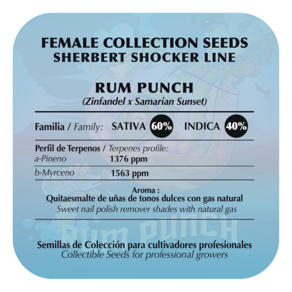 Rum Punch - Image 2