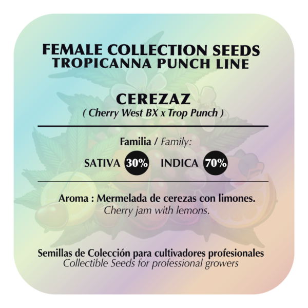 Cerezaz - Image 2