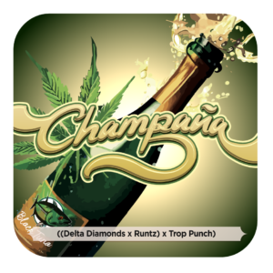 Champaña