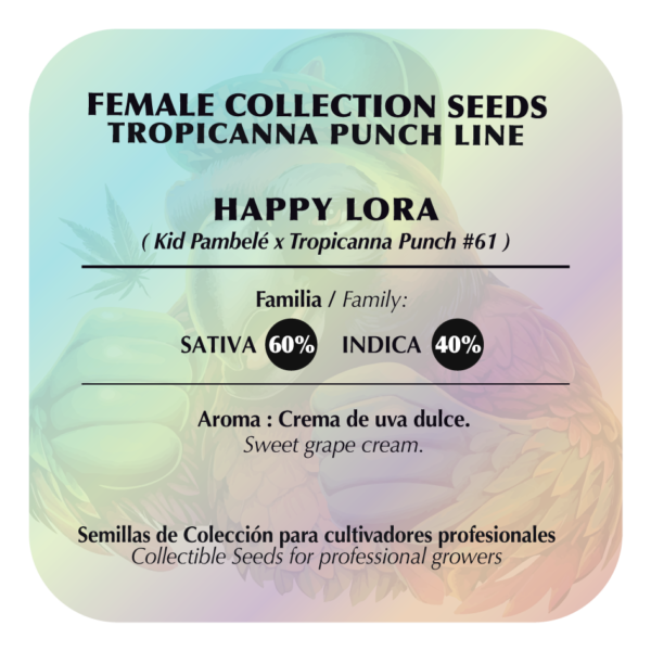 El Happy Lora - Image 2