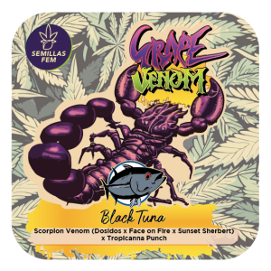 GRAPE VENOM TROPICANNA PUNCH LINE BLACK TUNA