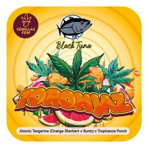 TORONJAZ TROPICANNA PUNCH LINE BLACK TUNA