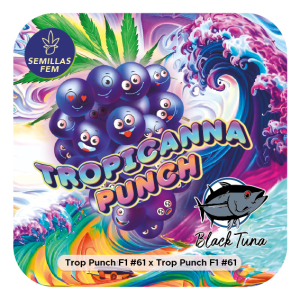 TROPICANNA PUNCH TROPICANNA PUNCH LINE BLACK TUNA