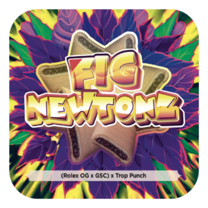Fig Newtonz