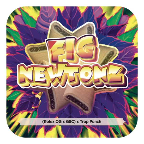 Fig Newtonz