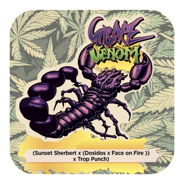 Grape Venom