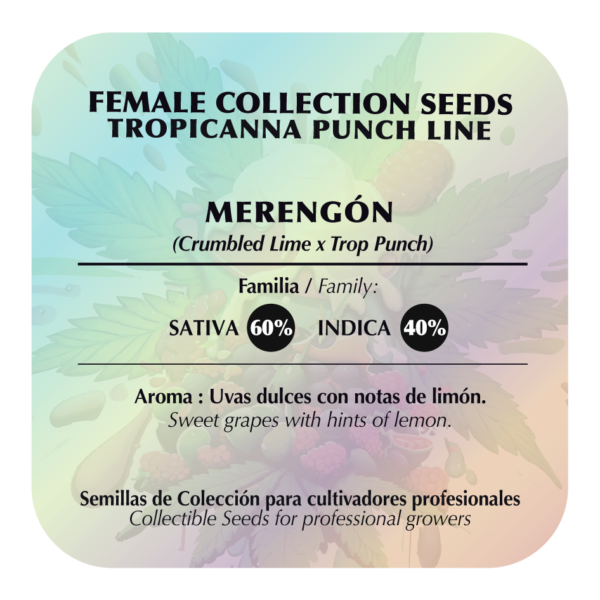 Merengón - Image 2