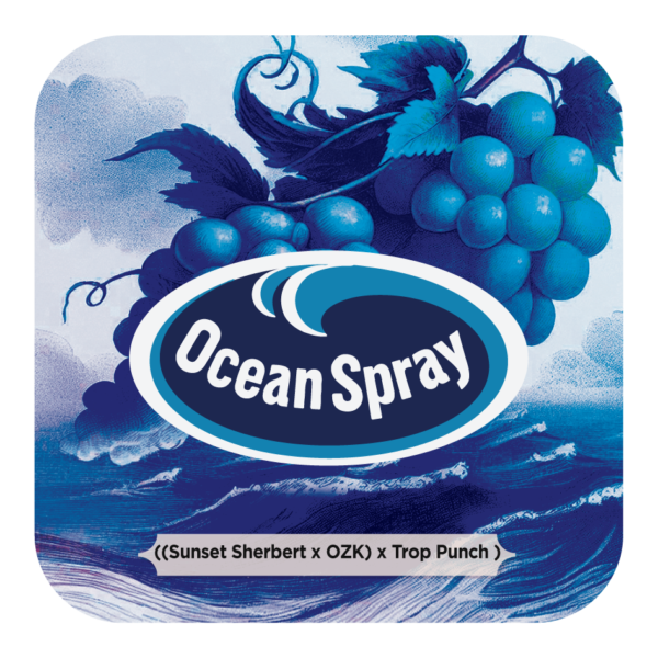 Ocean Spray F1