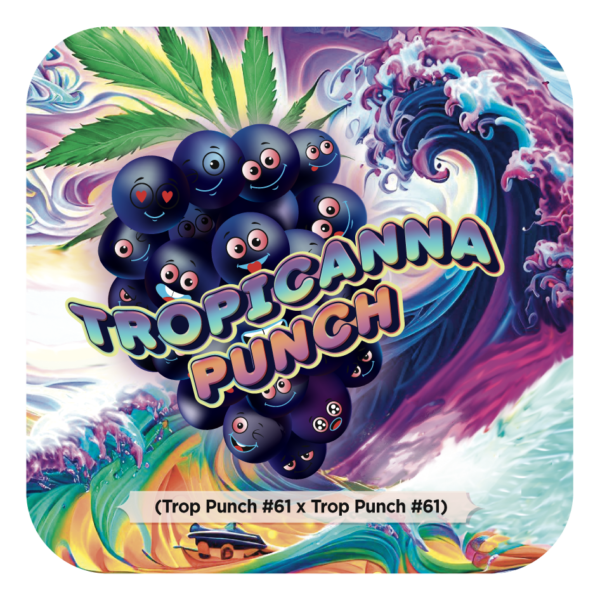 Tropicanna Punch #61