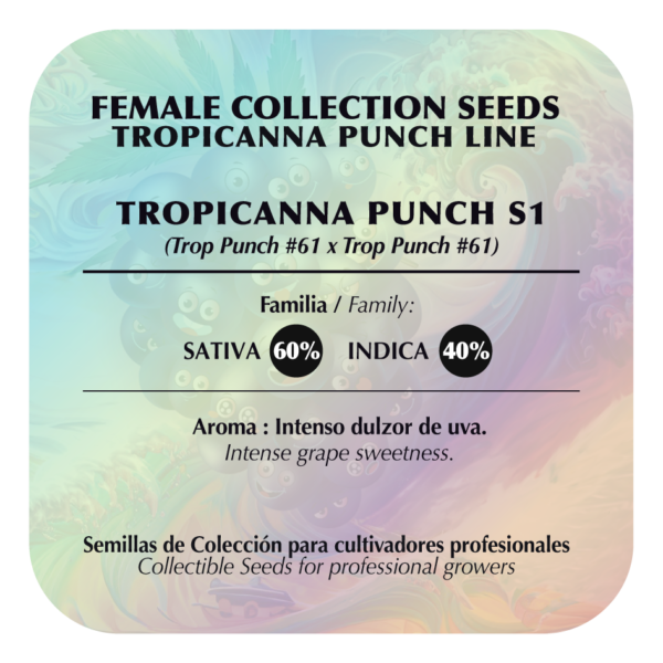 Tropicanna Punch #61 - Image 2