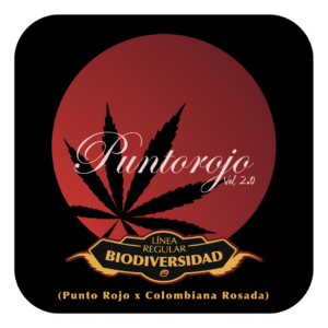 Punto Rojo