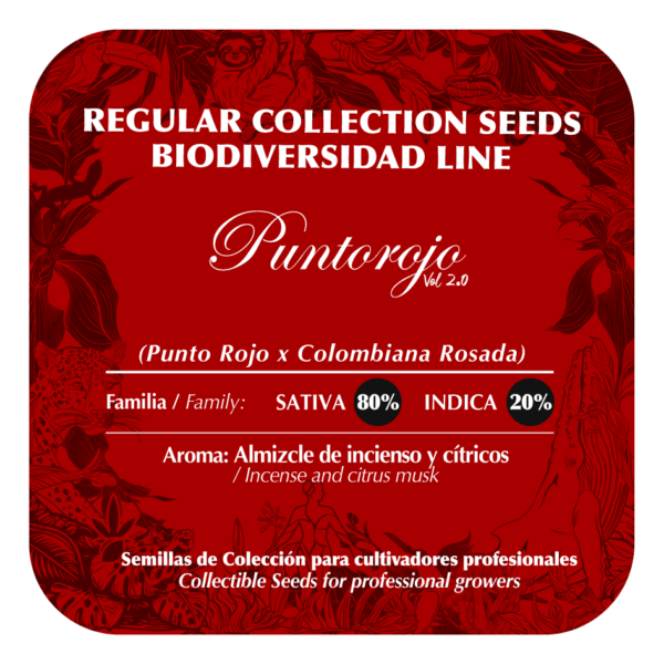 Punto Rojo - Image 2