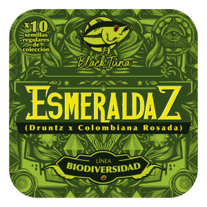 Esmeraldaz - Semilla de Cannabis Regular de Black Tuna: Imagen del envase de Esmeraldaz, una semilla de cannabis regular de la línea Biodiversidad. Este cruce entre Druntz y Colombiana Rosada ofrece un aroma a incienso y candy gas, y es ideal para cultivo en interior, exterior o invernadero.