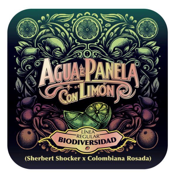 Agua e Panela con Limón