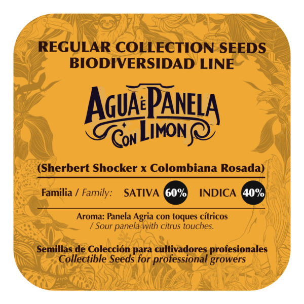 Agua e Panela con Limón - Image 2