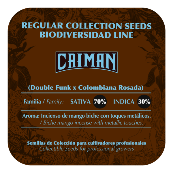 Caiman - Image 2