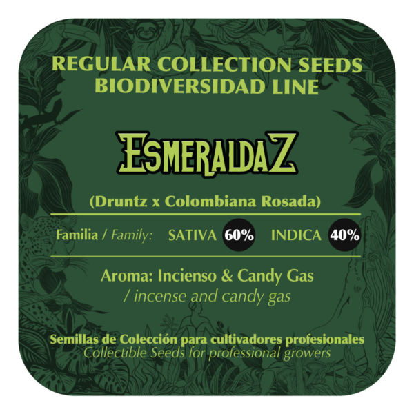 Esmeraldaz - Image 2