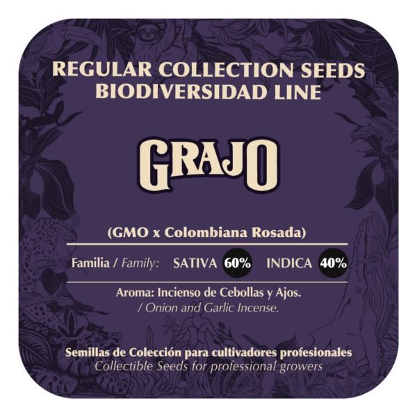 Grajo - Image 2