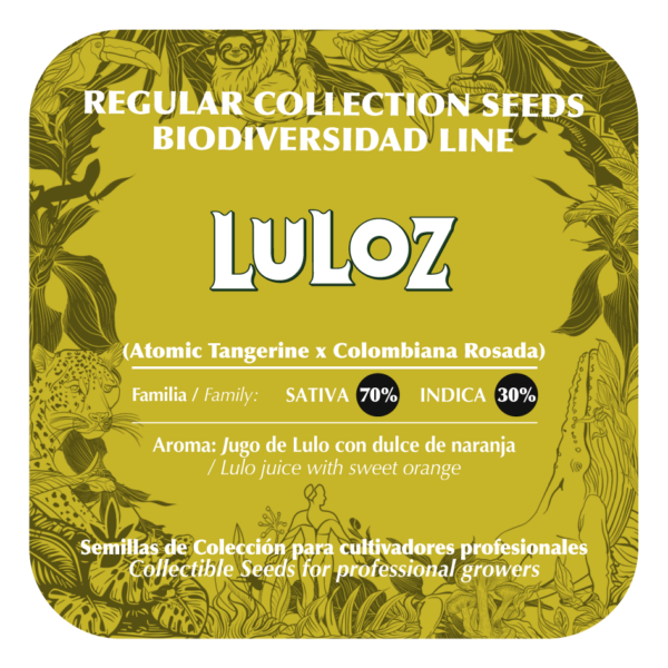 Luloz - Image 2