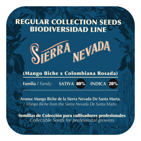 Sierra Nevada - Image 2