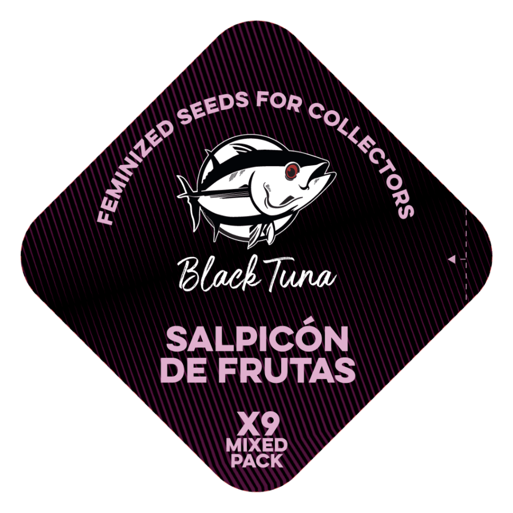 Popurrí Salpicón de Frutas