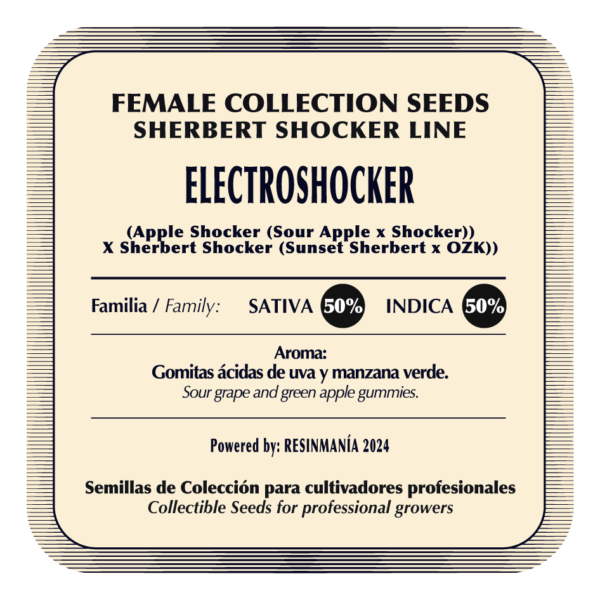 Electroshocker (Pack x5) - Image 2