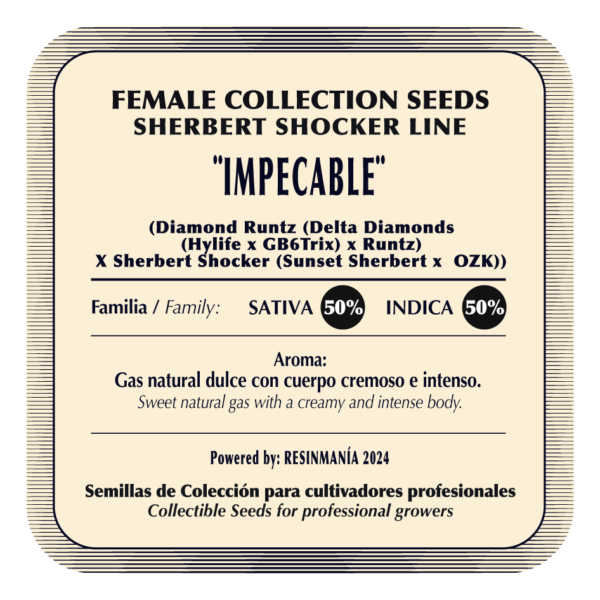 Impecable (Pack x5) - Image 2