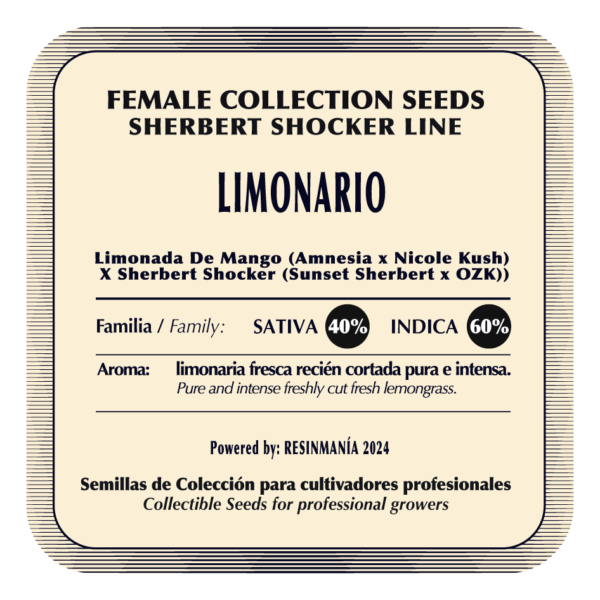 Limonario (Pack x5) - Image 2
