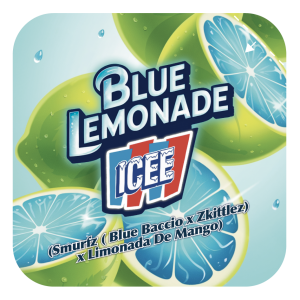 BLUE LEMONADE ICEE